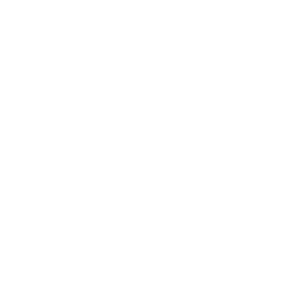 AIR-PARTNER-2.png