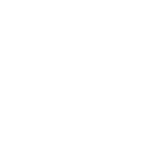 egyptair.png