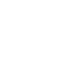 iborjet.png