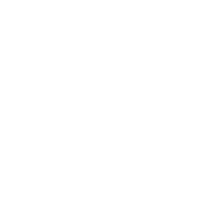 oryx-jet.png