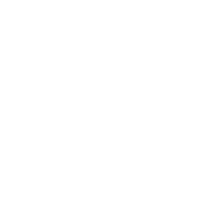 transai.png